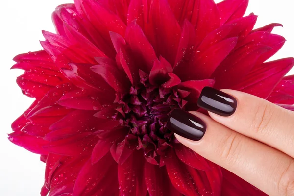 Esmalte de uñas rojo oscuro . — Foto de Stock