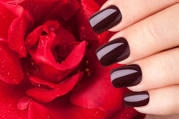 Esmalte de uñas rojo oscuro . — Foto de Stock