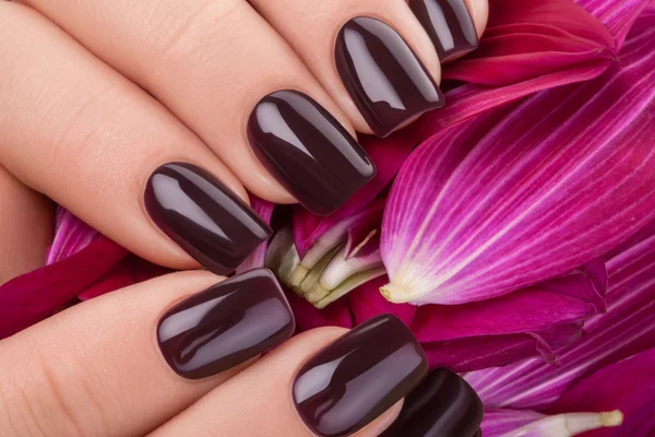 Dark red nail polish. — Stock Photo, Image