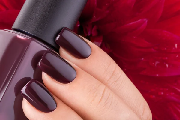 Esmalte de uñas rojo oscuro . — Foto de Stock