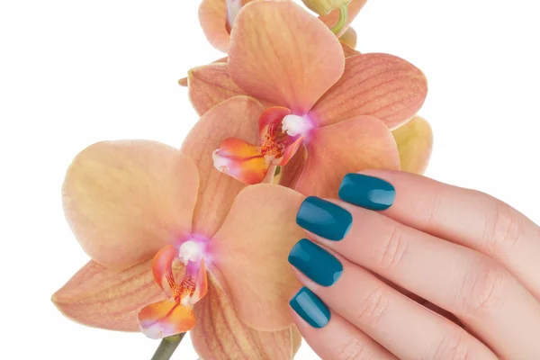 Trevligt och snyggt gröna naglar. — Stockfoto
