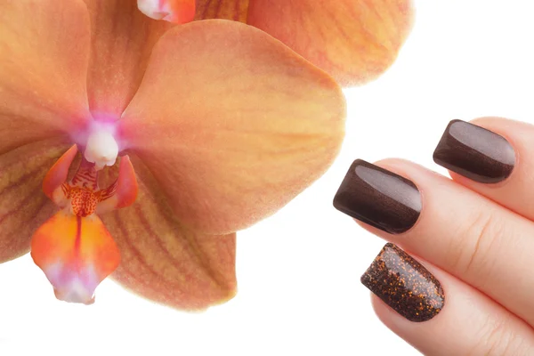 Bruin nagellak op de nagels. — Stockfoto