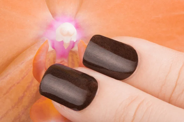 Bruin nagellak op de nagels. — Stockfoto