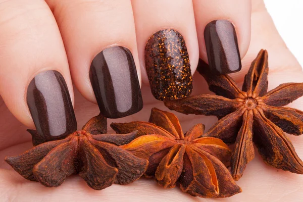 Beautiful brown manicure. — Stock Photo, Image