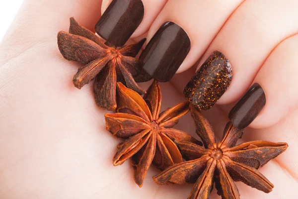 Mooi bruin manicure. — Stockfoto