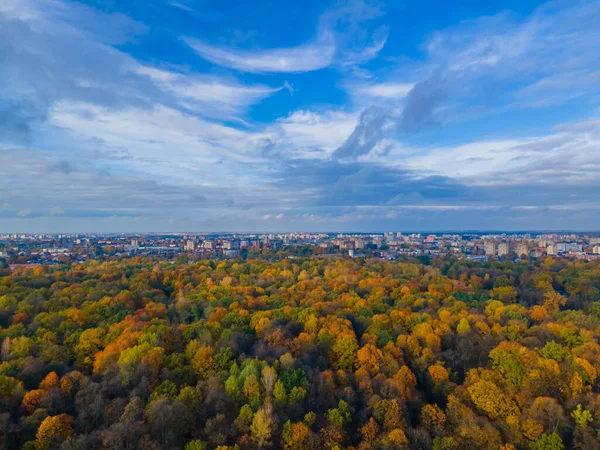 Sonbaharda yol kıvrımları düşen altın ağaçlar arka plan ve şehir manzarası
