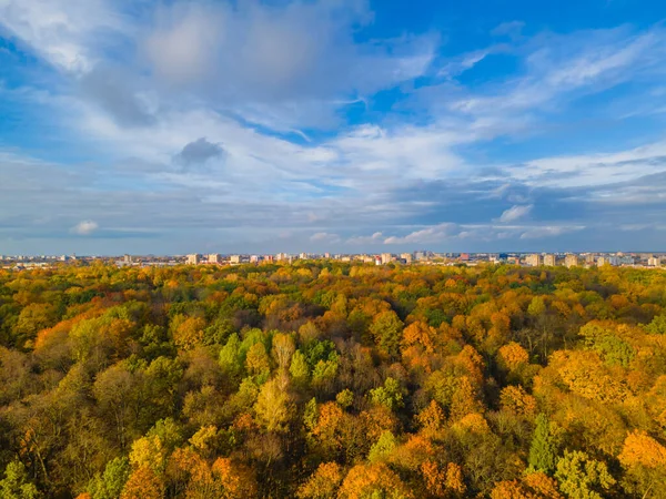 Дорога изгиб осенью падения золотистые деревья фон и панорама города — стоковое фото