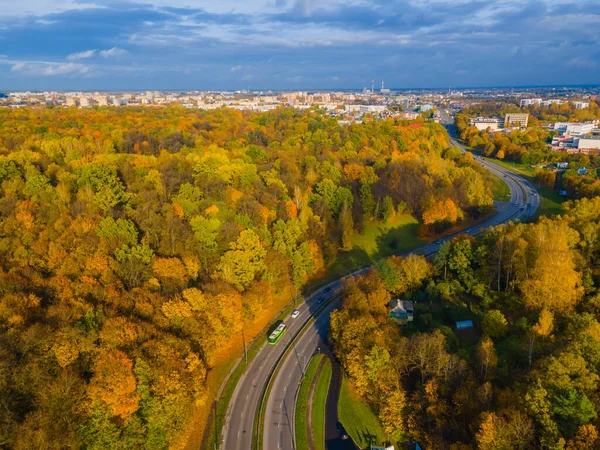 Silniční Ohyb Podzim Padající Zlaté Stromy Pozadí Panorama Města Horizontu — Stock fotografie