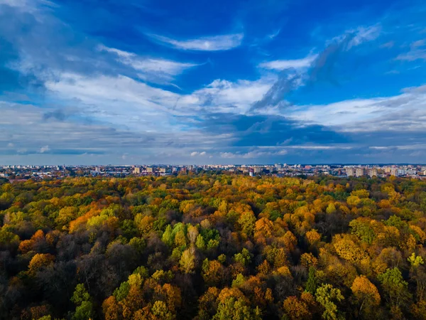 Silniční Ohyb Podzim Padající Zlaté Stromy Pozadí Panorama Města Horizontu — Stock fotografie