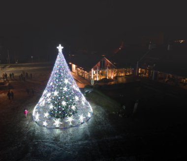 Trakai şehrindeki Noel ağacı, Trakai kalesinin yanında.