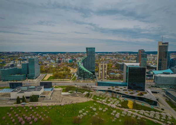 Sakura park mitt i Vilnius nya centrum — Stockfoto