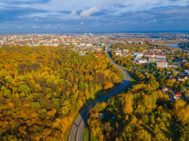 Sonbaharda yol kıvrımları düşen altın ağaçlar arka plan ve şehir manzarası