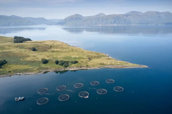Granja de peces salmón redes redondas en el entorno natural Loch Awe Arygll y Bute Escocia — Foto de Stock