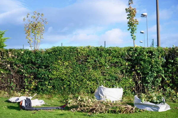 Hedge trim and grass cutting in public park