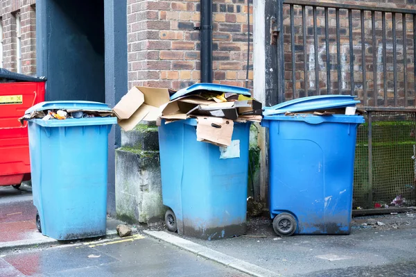 Blue recycle wheelie bins in row for collection outside house