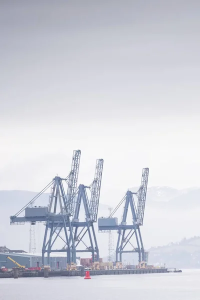 Cranes at logistics port terminal for offloading containers