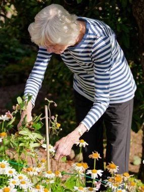 İngiltere 'de yaz boyunca bahçede yaşlılar için aktif bir yaşam tarzı.