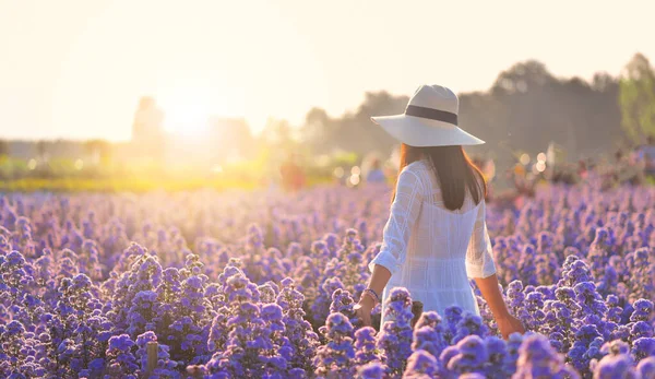 Beyaz şapkalı beyaz elbiseli kadın yazın keyfini çıkarıyor Mor Kesici Çiçekler tarlasında Çiçek köyünde, Tayland 'ın Udon şehrinde.