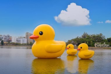 Udon Thani, Tayland - 30 Ocak 2021: Güzel gökyüzü ile Tayland 'ın Udon ili gölünde yüzen üç dev sarı lastik ördek.