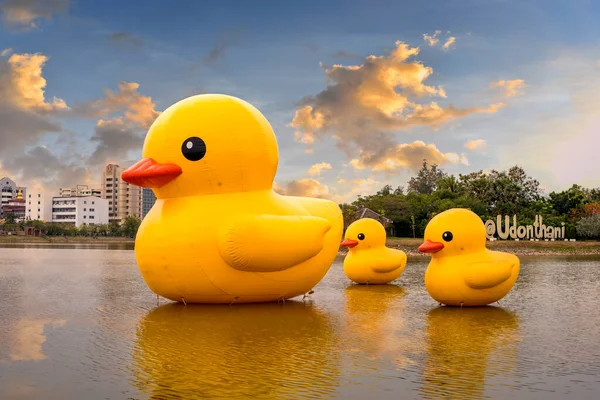 Udon Thani, Tayland - 30 Ocak 2021: Udon thani Gölü 'nde yüzen üç dev sarı lastik ördek, Tayland. Güzel bir gün batımı