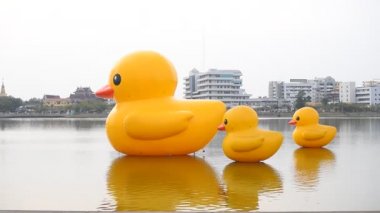 Udon Thani, Tayland - 30 Ocak 2021: Udon thani Gölü 'nde yüzen üç dev sarı lastik ördek, Tayland