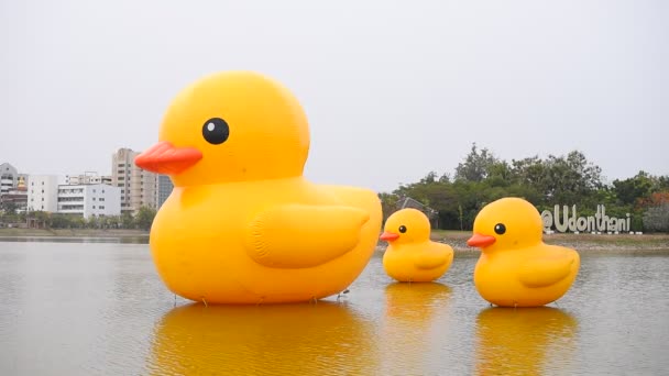 2021年1月30日タイ ウドタニー県の湖に浮かぶ3つの巨大な黄色いゴム製のアヒル — ストック動画