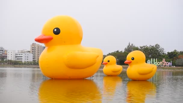 2021年1月30日タイ ウドタニー県の湖に浮かぶ3つの巨大な黄色いゴム製のアヒル — ストック動画