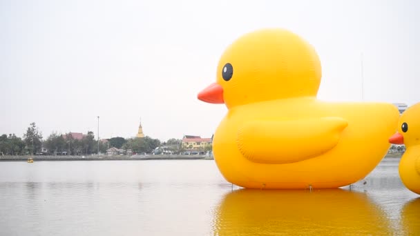 2021年1月30日 泰国乌顿萨尼 三只漂浮在泰国乌顿坦尼湖中的巨大黄橡胶鸭 — 图库视频影像