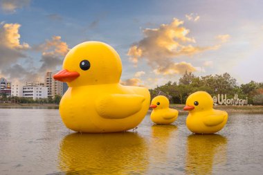 Udon Thani, Thailand - January 30, 2021: Three Floating Giant yellow rubber ducks in the lake of Udon thani province, Thailand. Beautiful sunset ,Picture have noise & Soft focus .