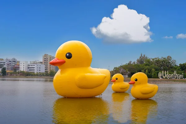 Udon Thani, Thailand - January 30, 2021: Three Floating Giant yellow rubber ducks in the lake of Udon thani province, Thailand. with beautiful single cloud.