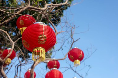Mavi arka planda kırmızı Çin fenerleri, ağacın yanında yüzen fenerler..