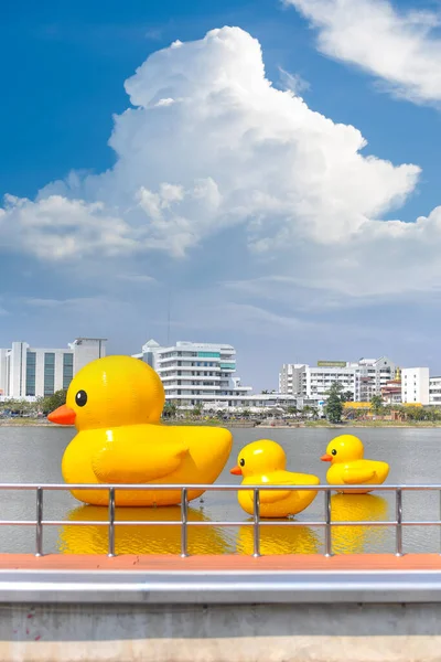 Udon Thani, Tayland - 17 Şubat 2021: Udon thani Gölü 'nde yüzen üç dev sarı lastik ördek, Tayland. Portre boyutu.