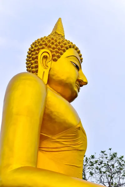 Grande Estátua Buda Ouro Fundo Branco Tamanho Retrato — Fotografia de Stock