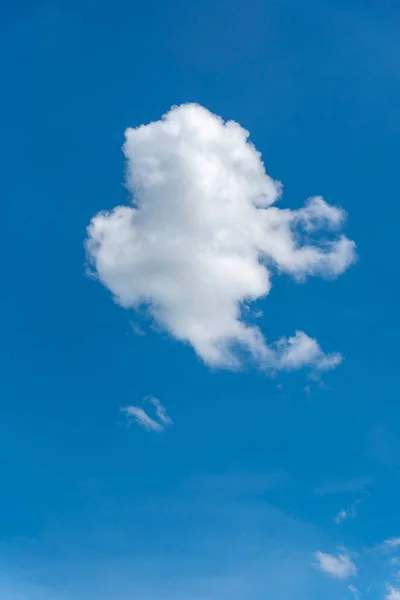 Blue sky with white cloud. Single cloud. Portrait size