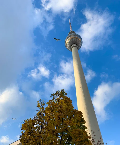 柏林电视塔从地面观看 Alexanderplatz Berliner Fernsehturm 德国柏林 — 图库照片