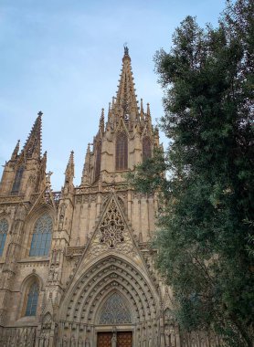 Barselona Katedrali. Barselona, İspanya 'daki Gotik Katolik katedrali.