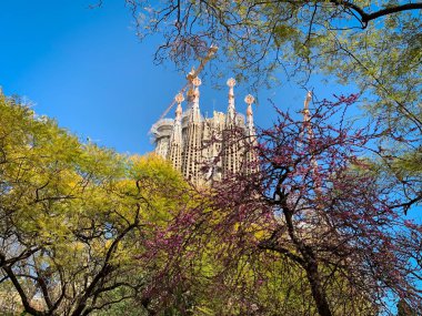 Barselona, İspanya, 11 Mart 2020 - Sagrada Familia Katedrali Yazar Antoni Gaudi. Ağaçlar arasında uzak görünüm.
