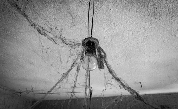 Vieille Ampoule Suspendue Avec Toile Araignée Spooky Fond Écran Halloween — Photo