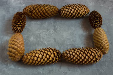 Gri beton arka planda bir koni çerçevesi