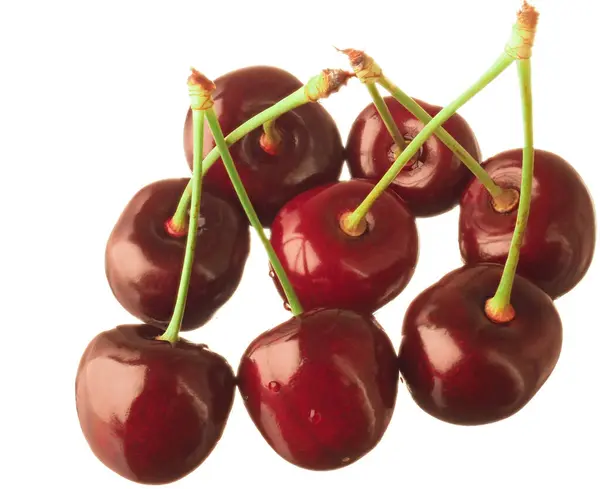 Close-up group of cherries on a branch isolated on white background — Foto de Stock