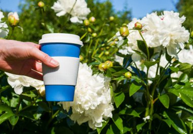 Beyaz şakayık çalılarının arkasında yeniden kullanılabilir bir kahve fincanı tutan bir kadın eli..