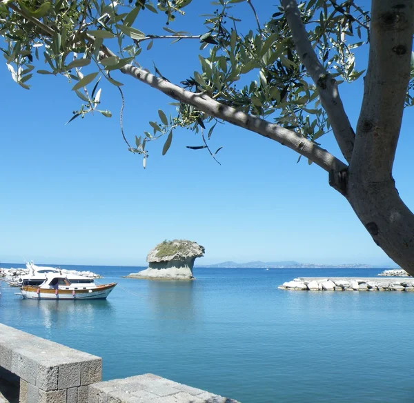 Lakko-Ameno komün kıyısında