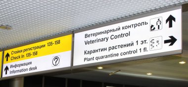 Sheremetyevo Havaalanı işaretçisi