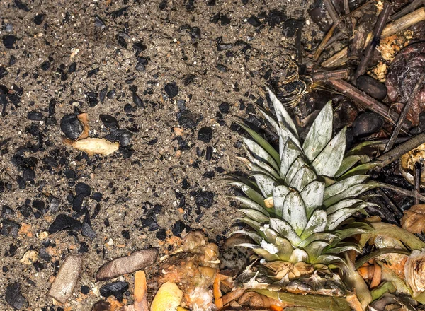 Organik kompost süreci