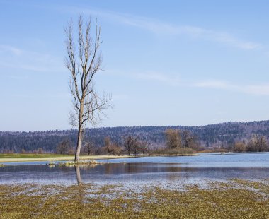 Karışık mineral kaya