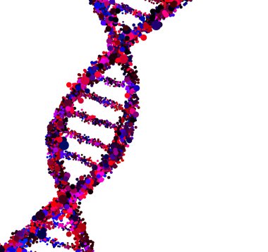 İnsan DNA'sı kavramı
