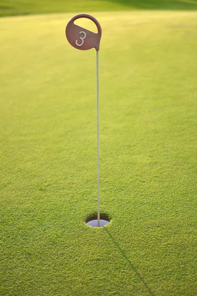 Agujero de golf con fondo borroso — Foto de Stock