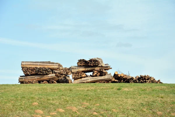 Woodpile — Stock Photo, Image