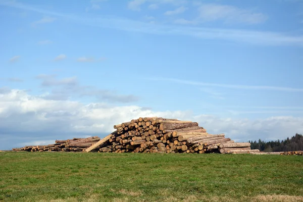 Woodpile Stock Picture