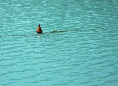 Bouy su